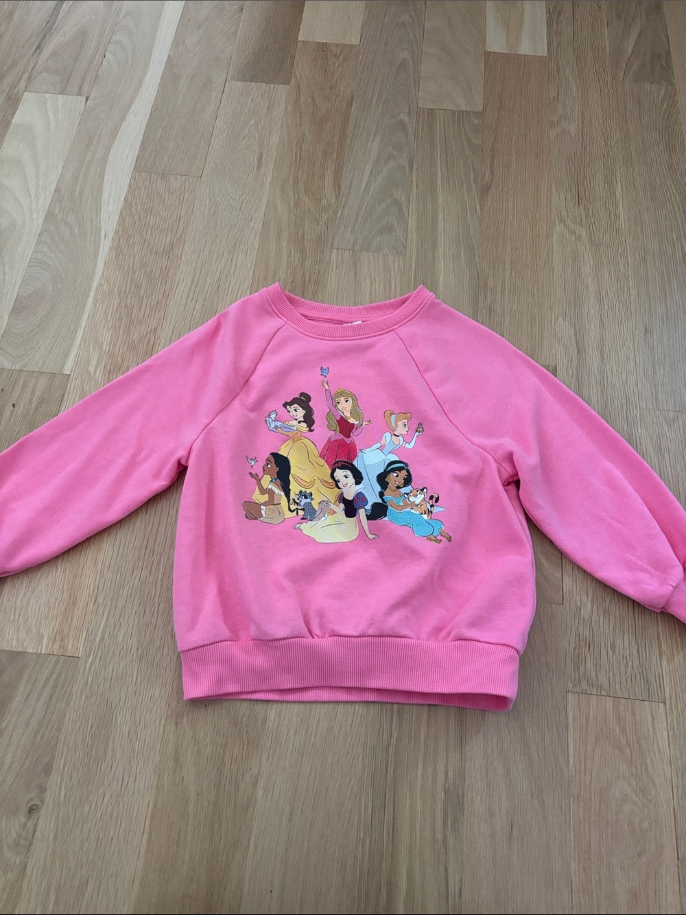 Kids Pink Princess Graphic Sweatshirt 4T